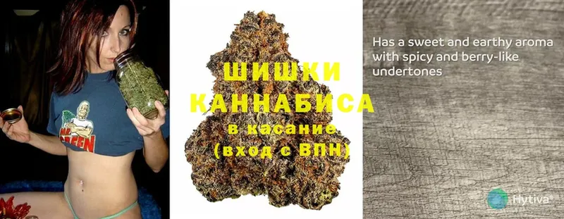 Шишки марихуана LSD WEED  купить закладку  Змеиногорск 